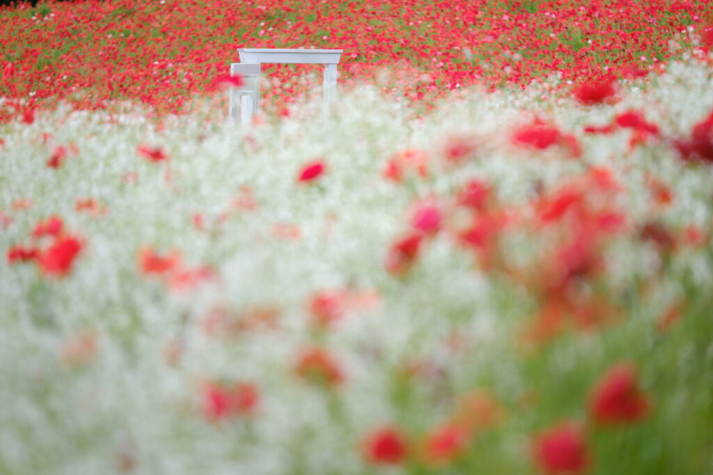 X-T5 2025-05-12 12:26:29 f/2.8 1/350sec ISO-125 140mm ノーマル