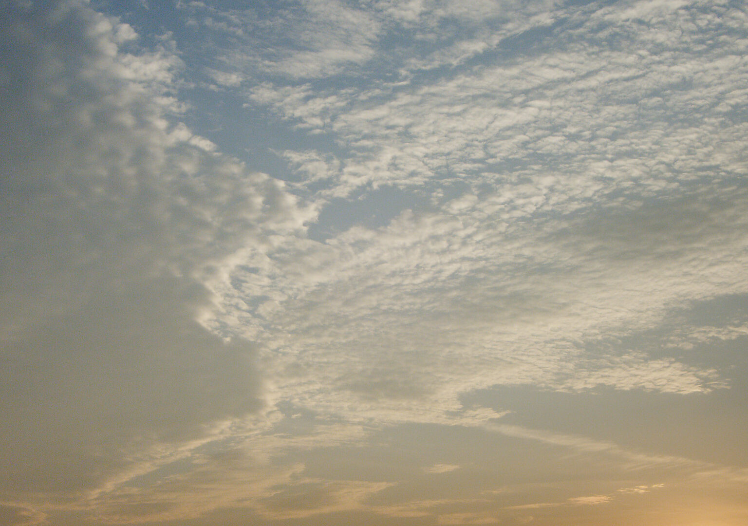 TG-7 2025-06-30 04:56:01 f/11 1/180sec ISO-100 7.84mm ノーマル