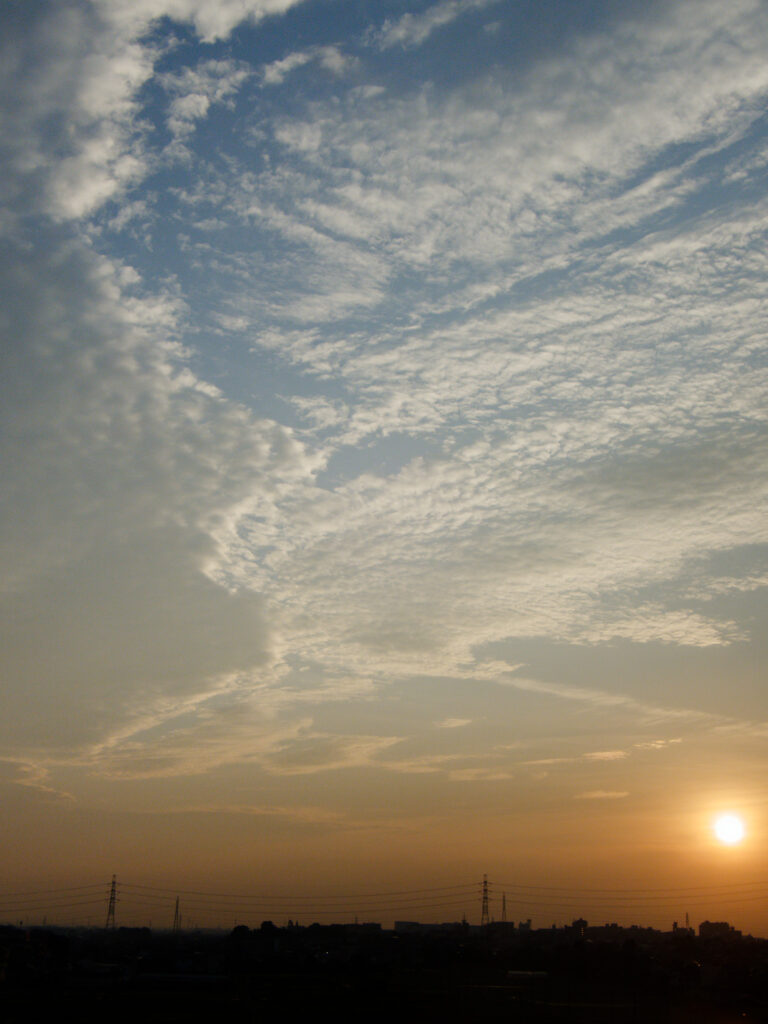 TG-7 2025-06-30 04:56:01 f/11 1/180sec ISO-100 7.84mm ノーマル