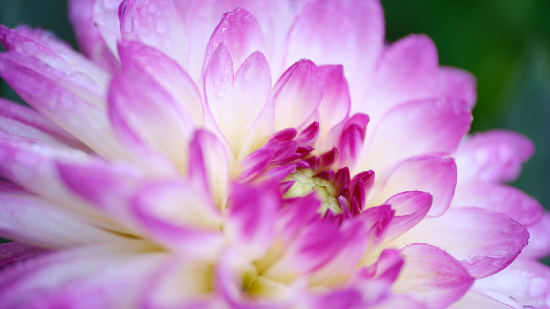 X-T5 2025-09-13 08:29:02 f/2.8 1/85sec ISO-125 50mm ノーマル