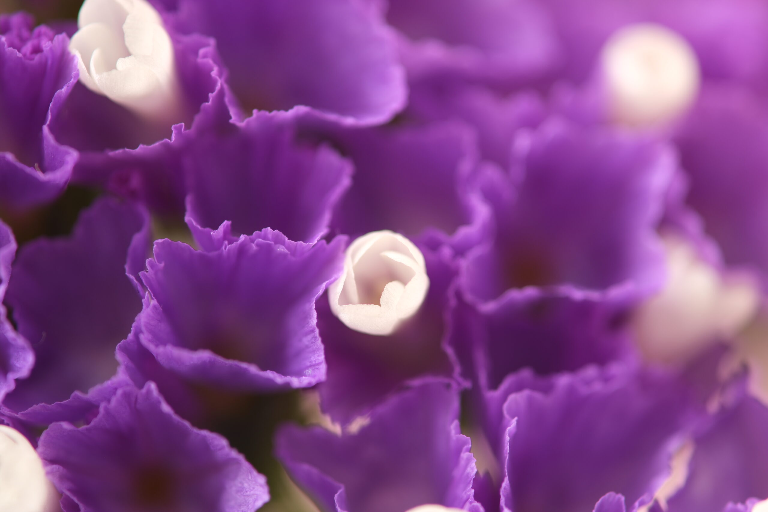 X-T5 2026-01-01 09:49:02 f/3.5 1/7sec ISO-125 180mm ノーマル