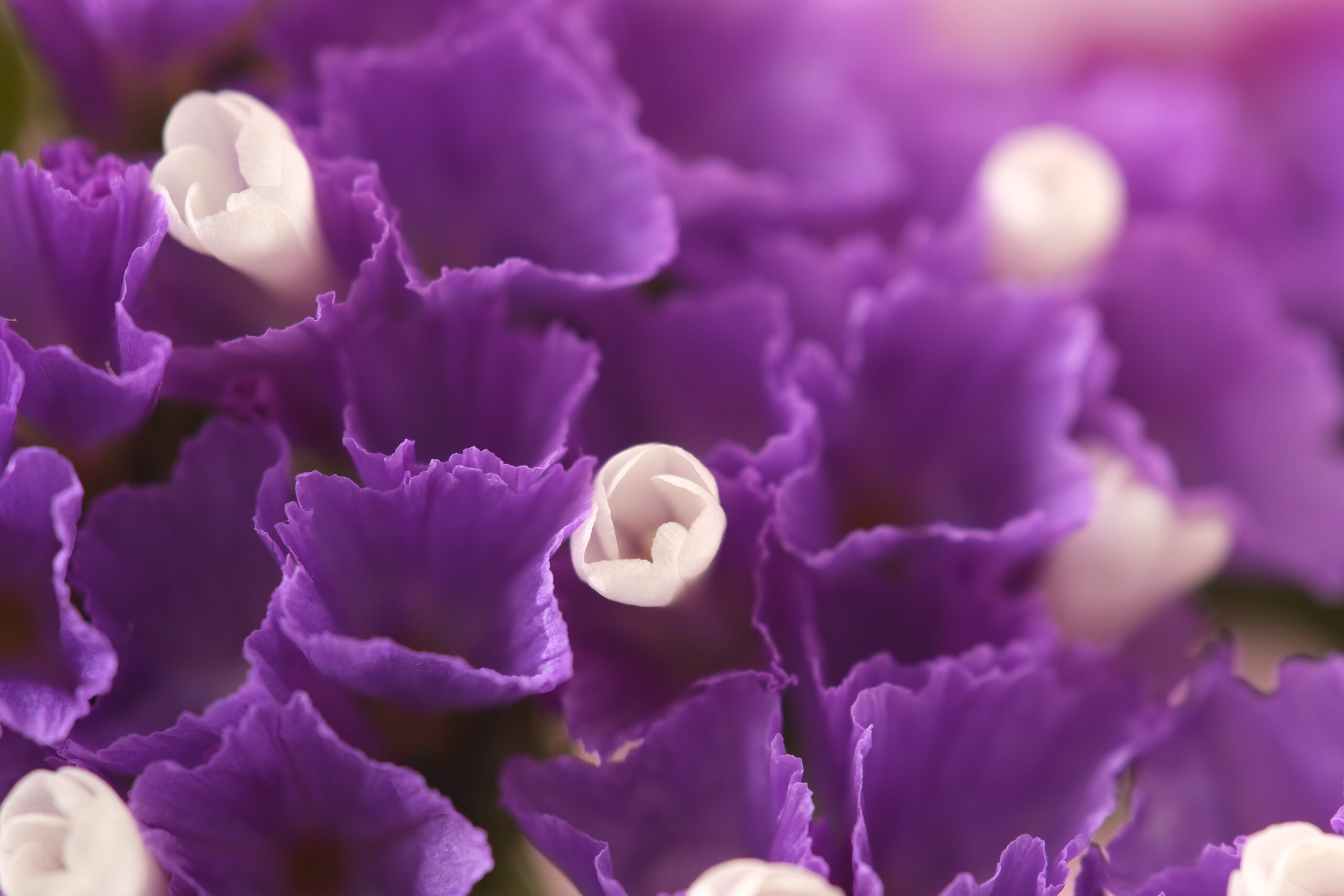 X-T5 2026-01-01 09:54:53 f/4.5 1/7sec ISO-125 180mm ノーマル