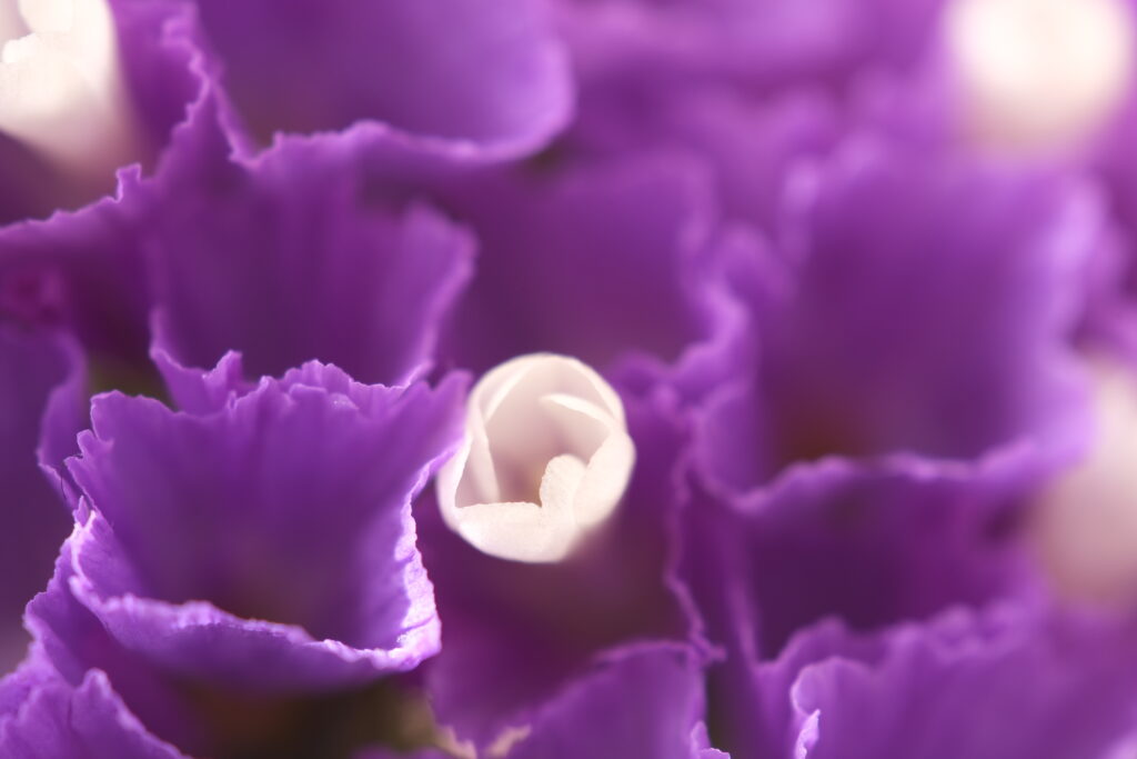 X-T5 2026-01-01 09:56:03 f/4.5 1/3sec ISO-125 180mm ノーマル