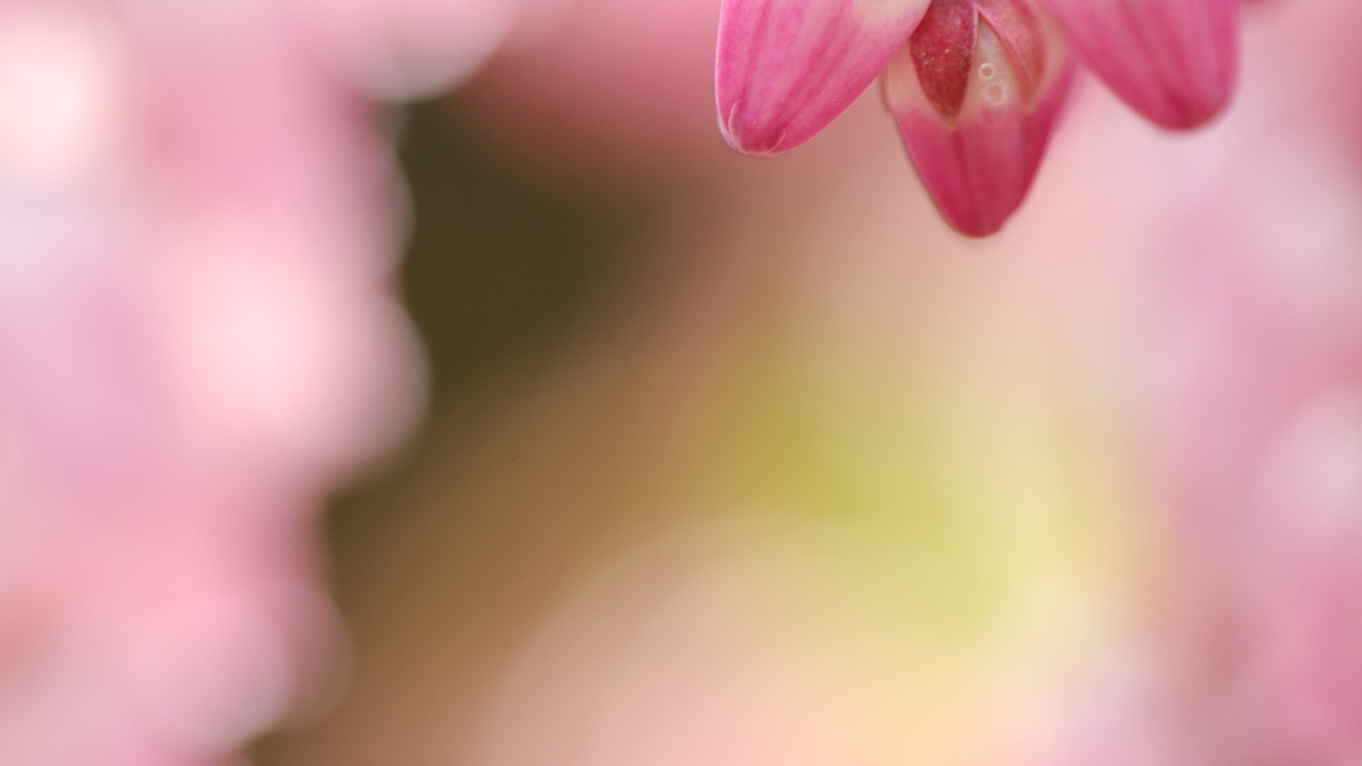 X-T5 2026-02-27 12:27:28 1/100sec ISO-200 65mm ノーマル